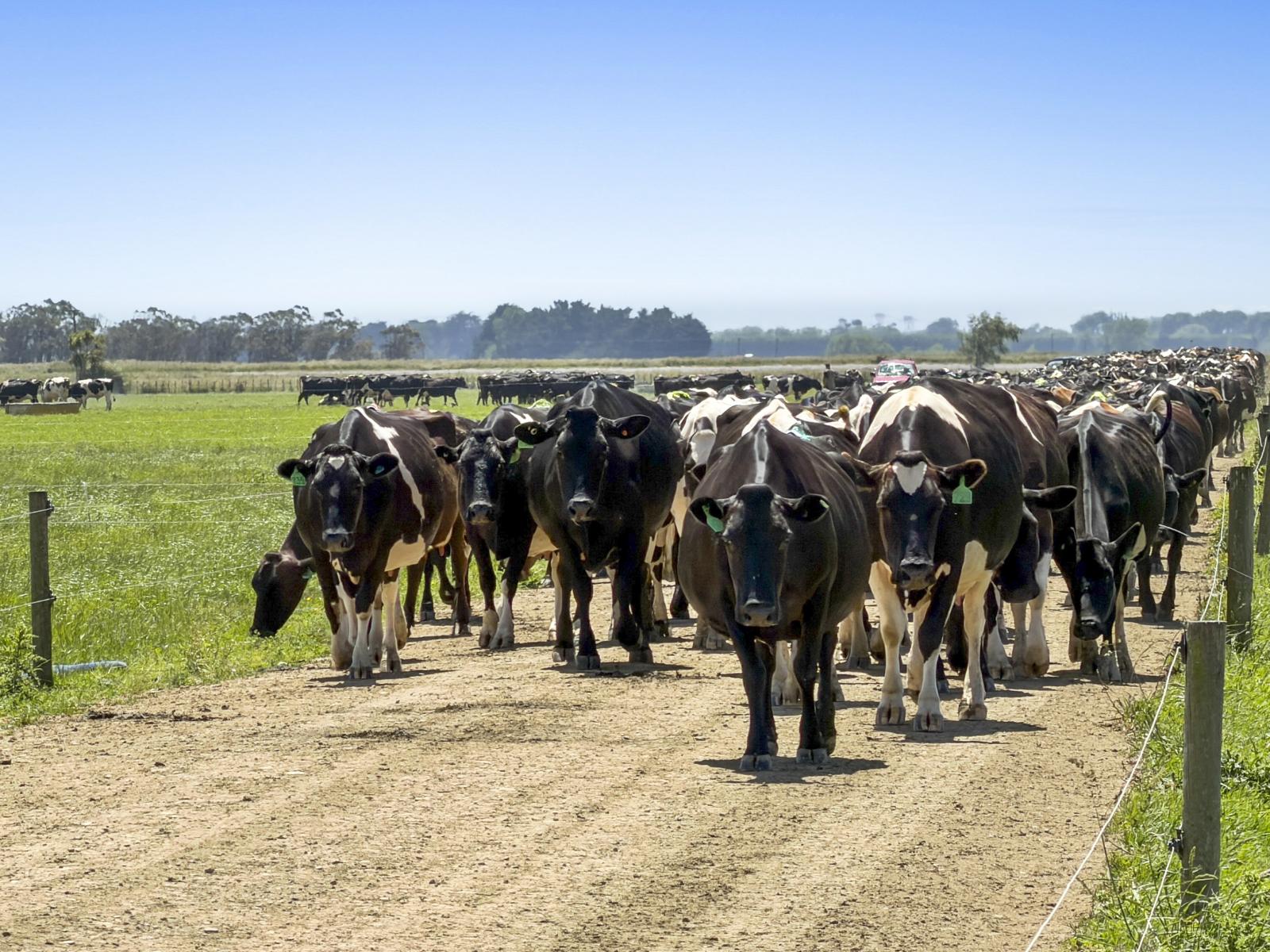 Generational Opportunities, Palmerston North
