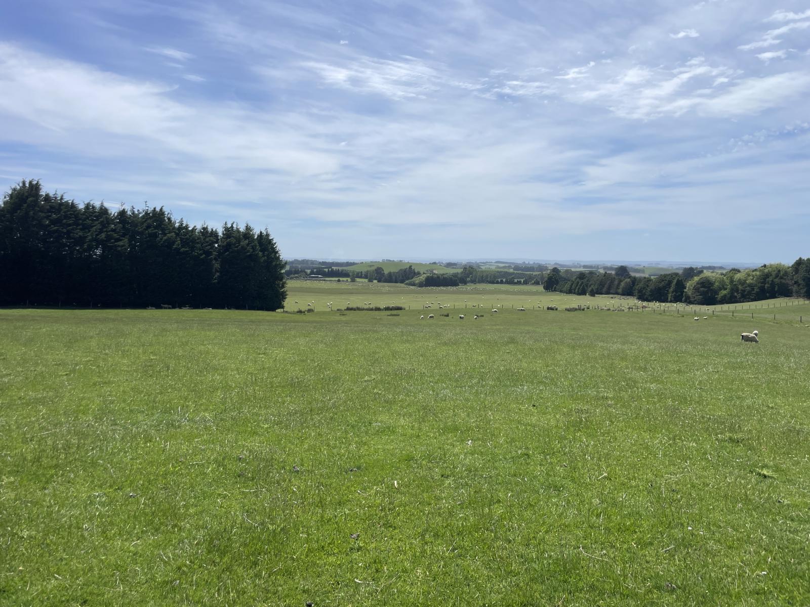 56 Hillfoot Road, Clinton