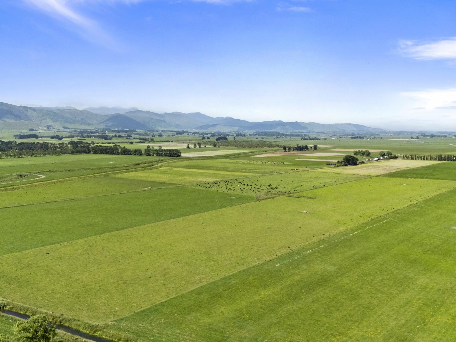 145 Campbells Road, Opiki