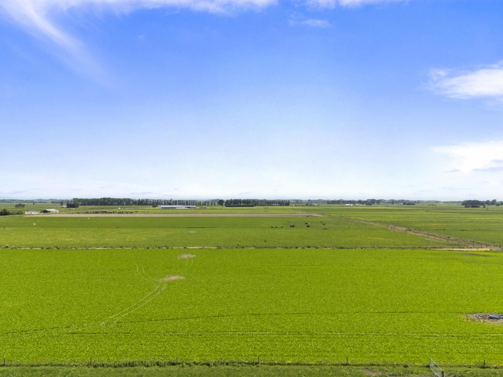 145 Campbells Road, Opiki