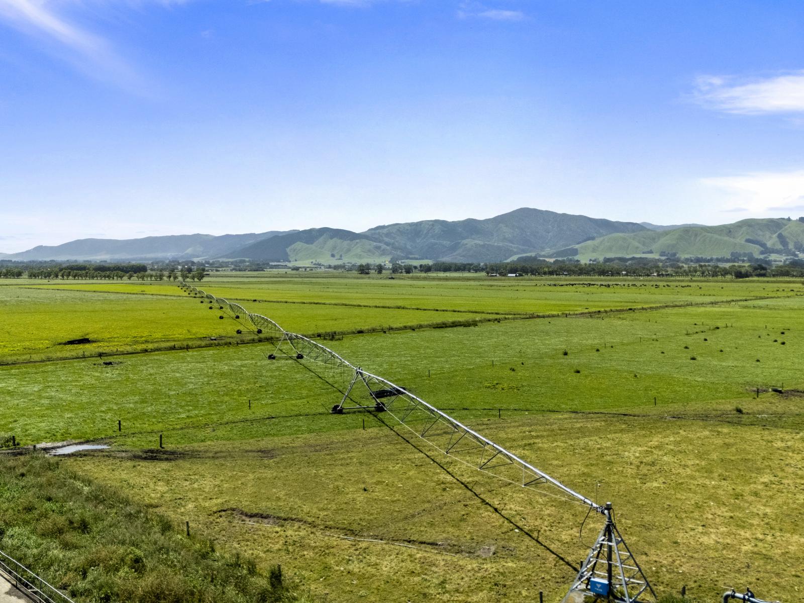 145 Campbells Road, Opiki