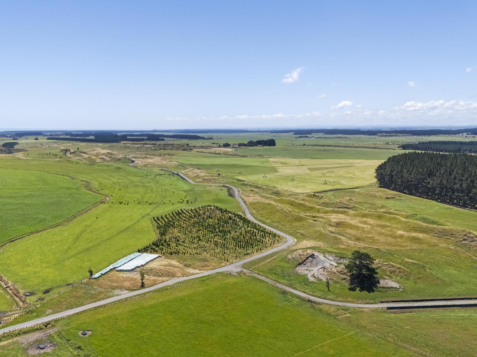 715 Santoft Road, Bulls