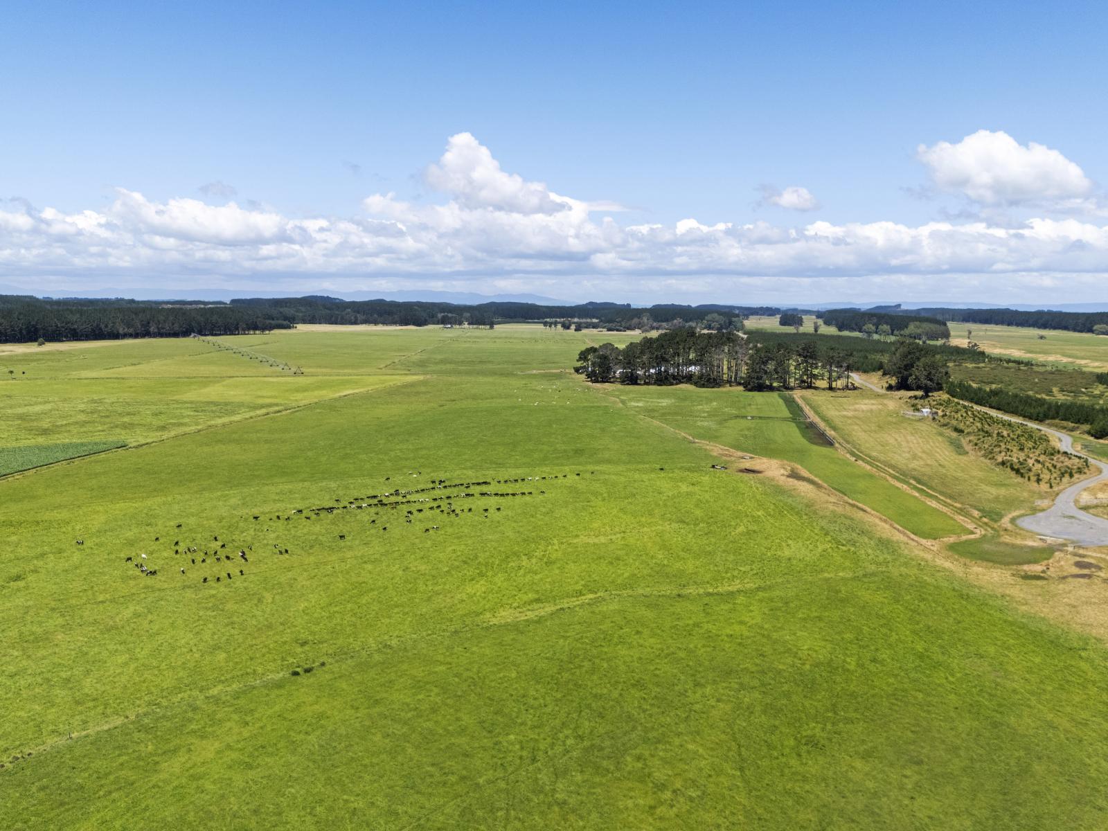 715 Santoft Road, Bulls