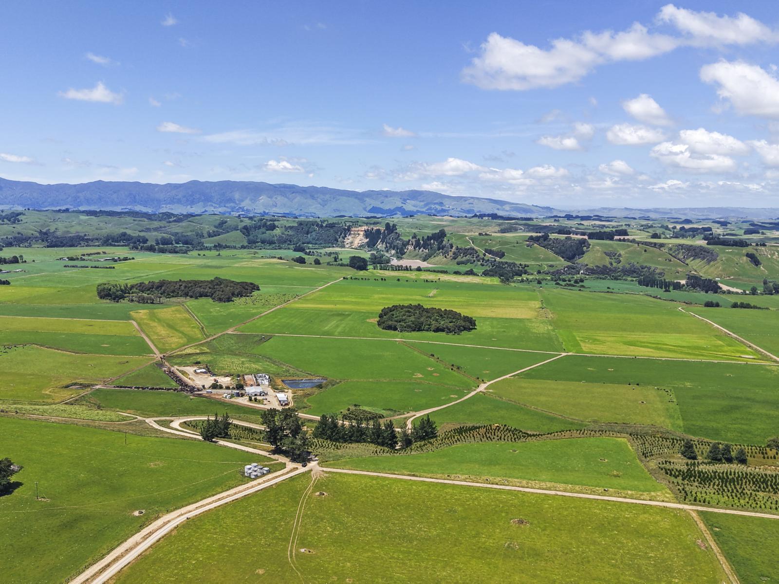 1974 Kimbolton Road, Kiwitea