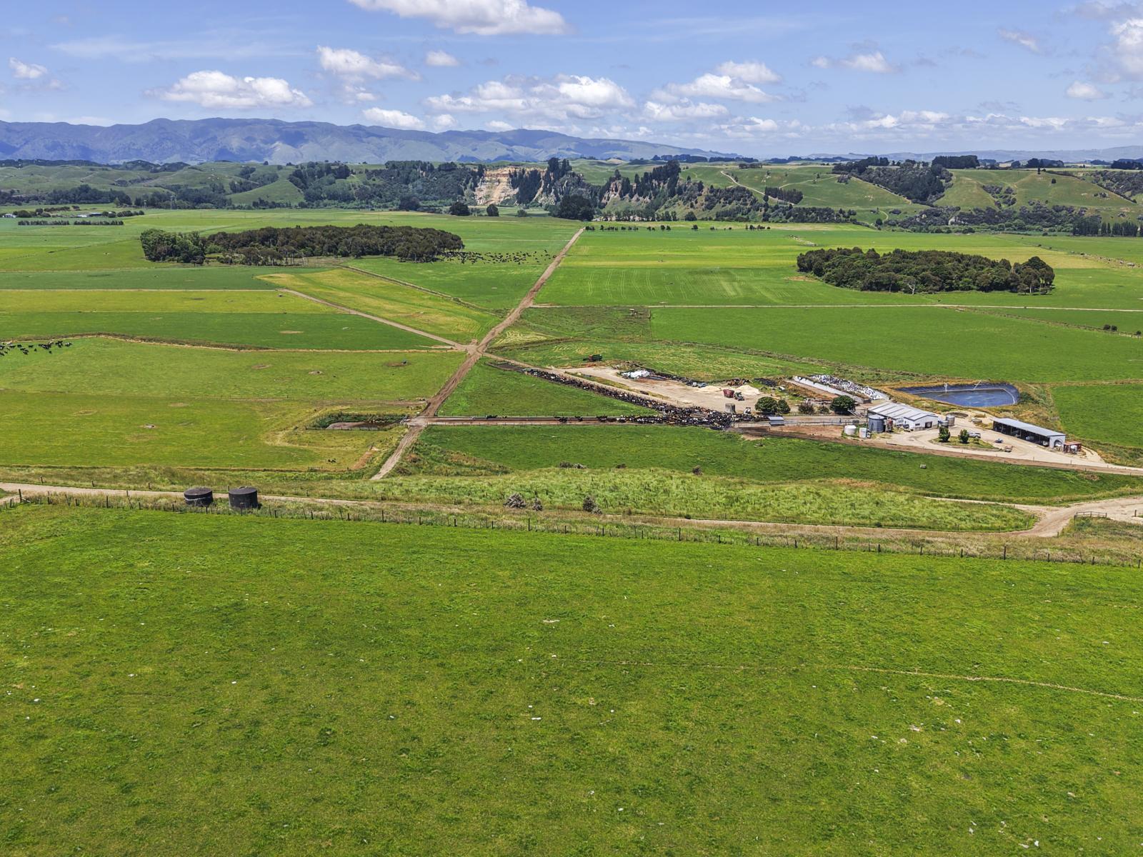 1974 Kimbolton Road, Kiwitea