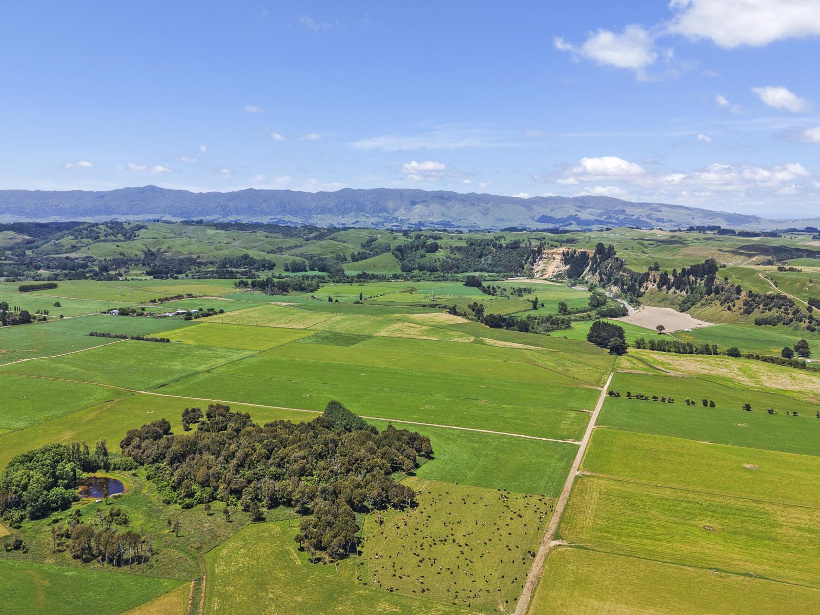 1974 Kimbolton Road, Kiwitea