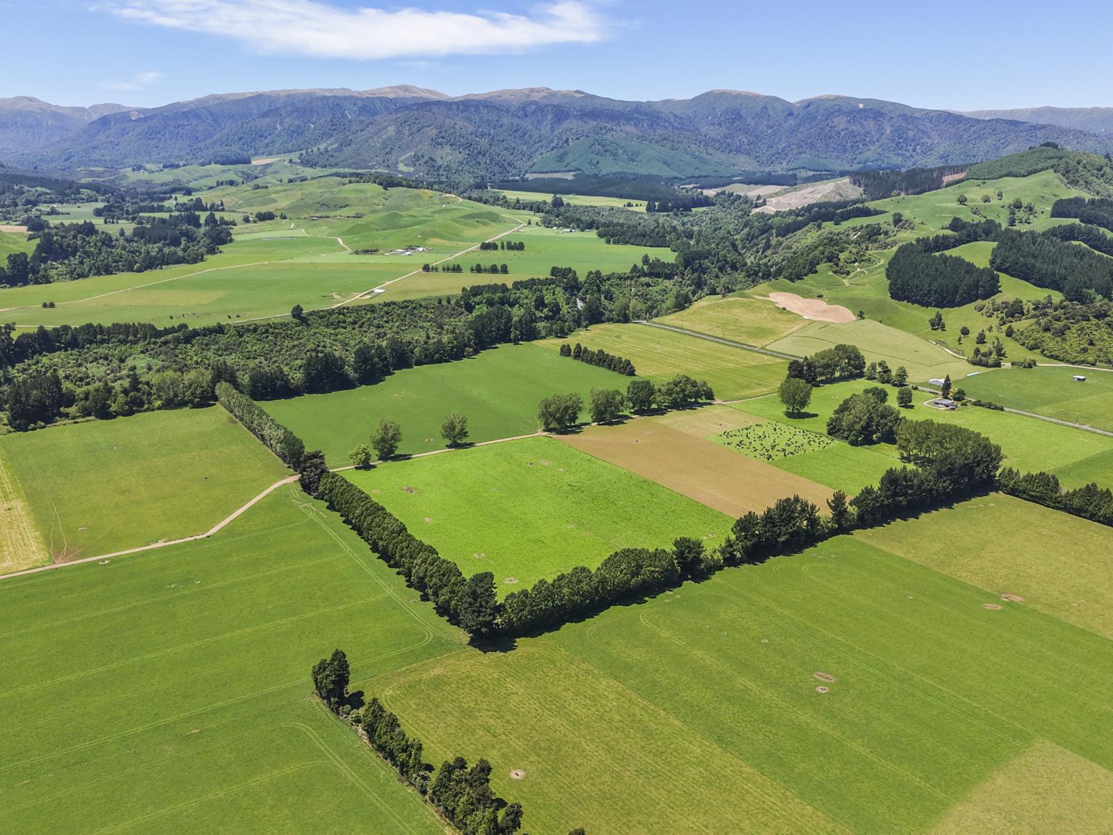 519 Main South Road, Rangiwahia