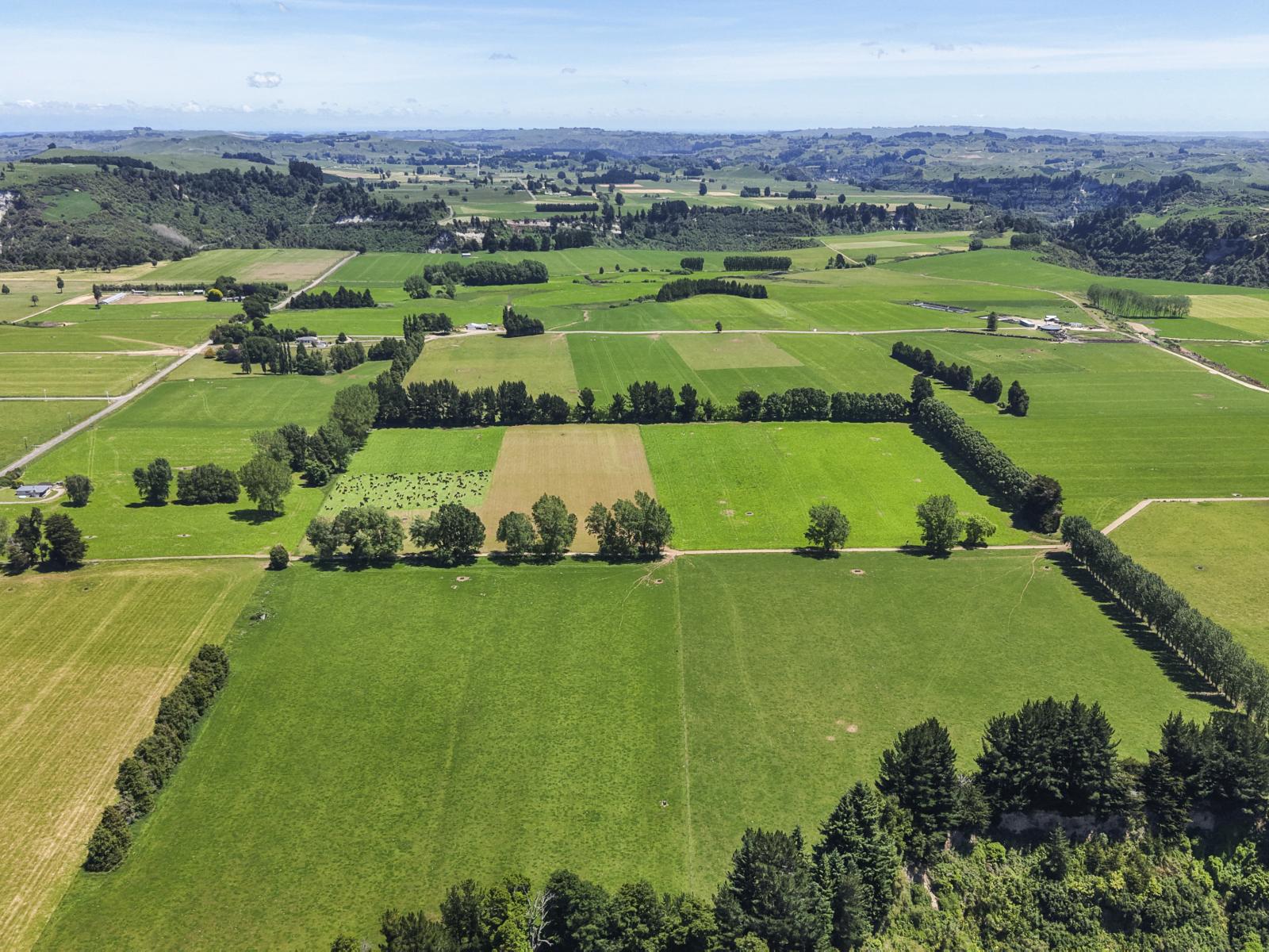 519 Main South Road, Rangiwahia