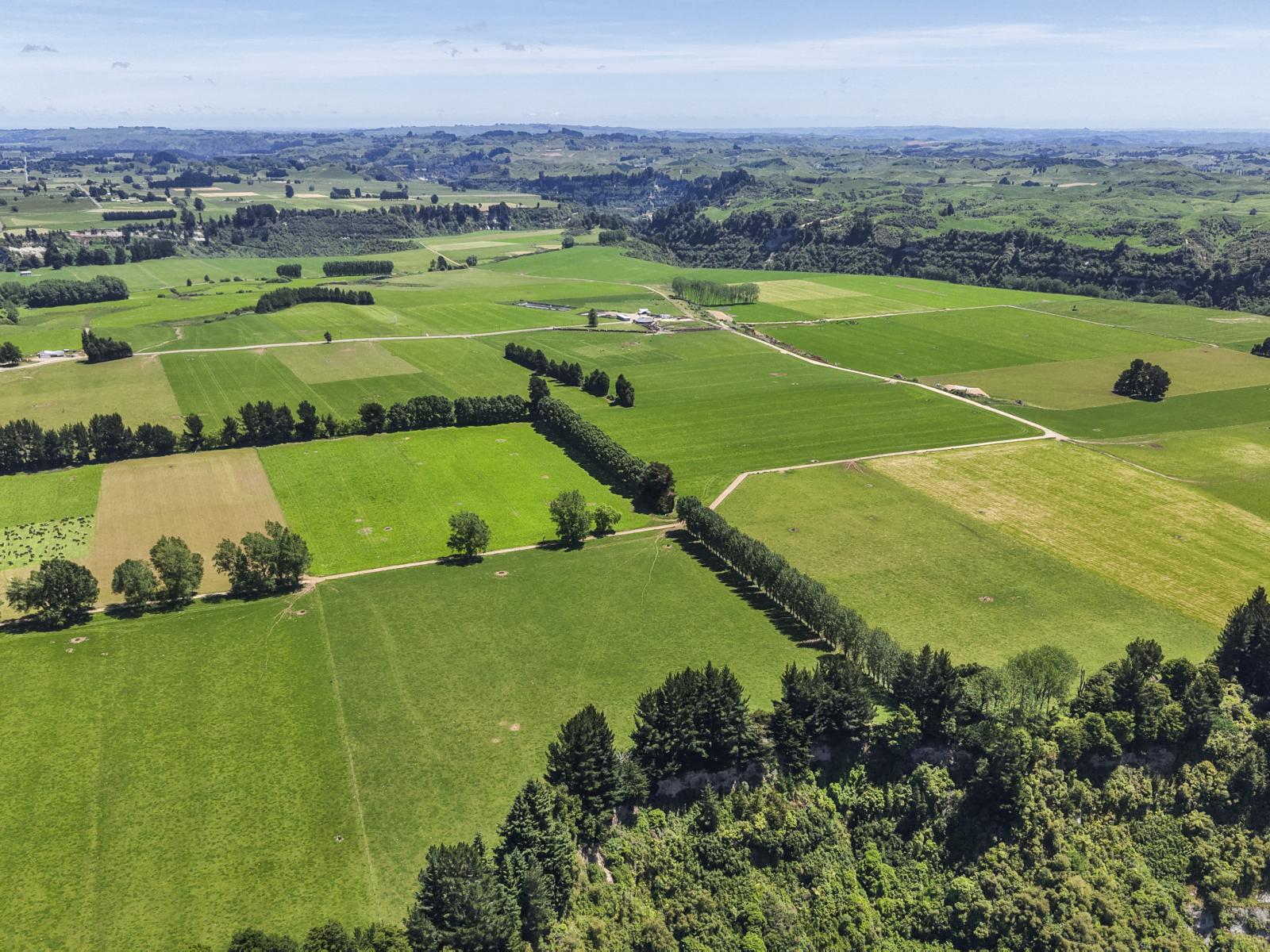 519 Main South Road, Rangiwahia