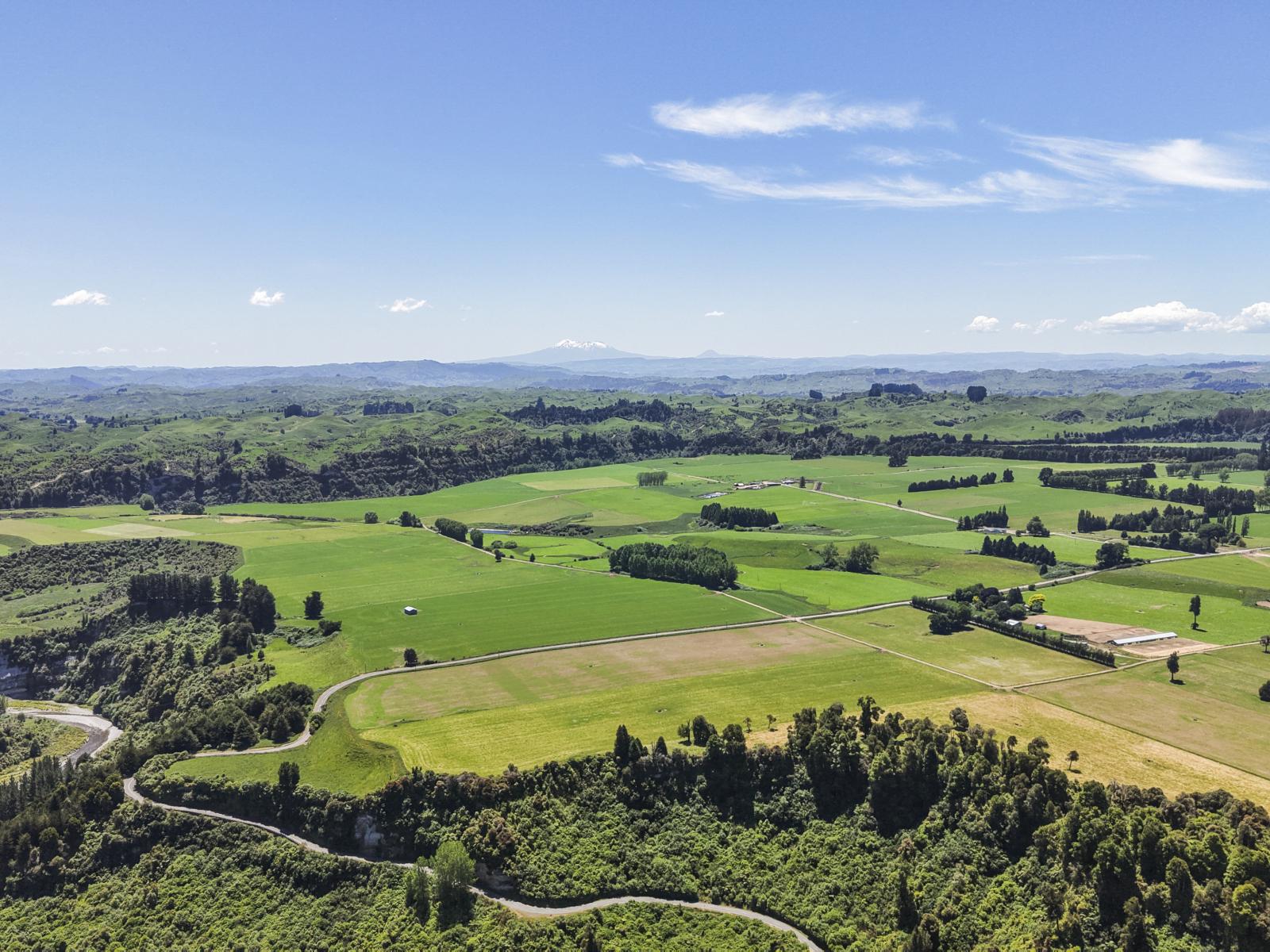 519 Main South Road, Rangiwahia