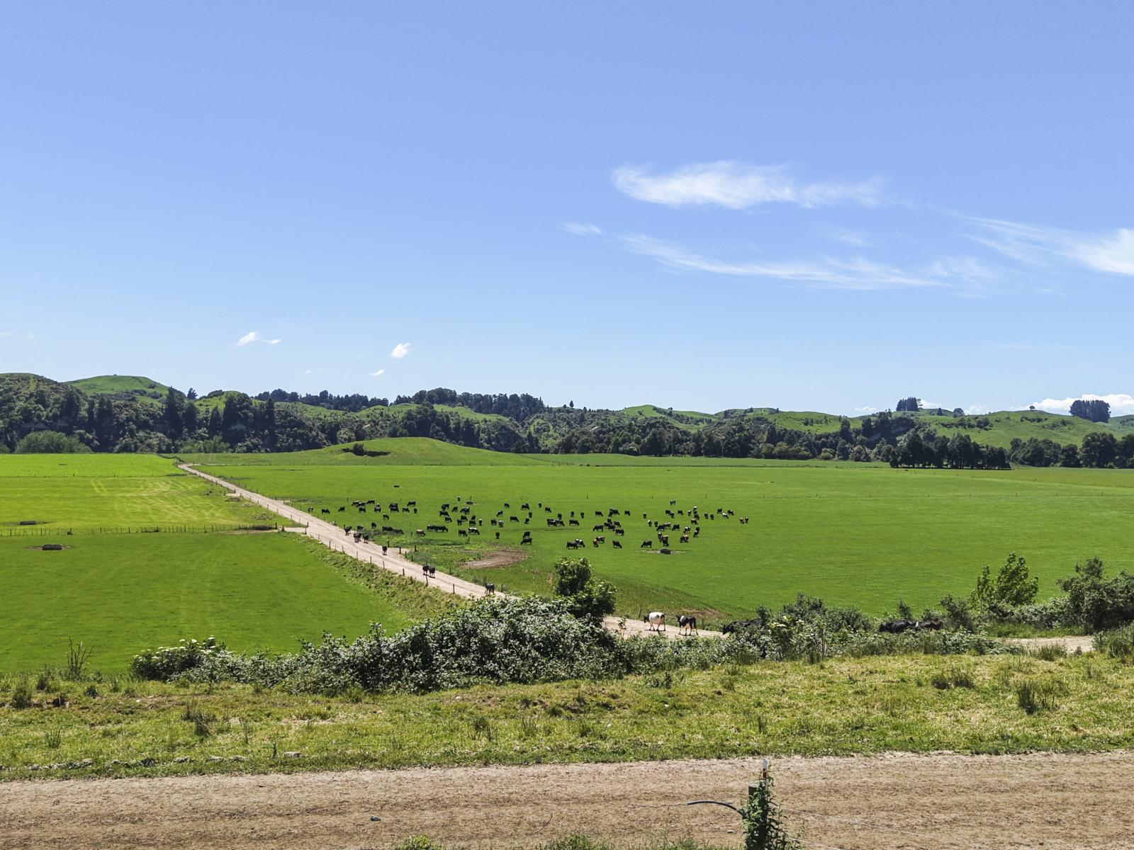 519 Main South Road, Rangiwahia