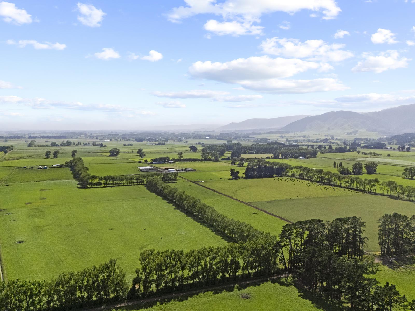 129-139 Tamatarau Road, Tokomaru