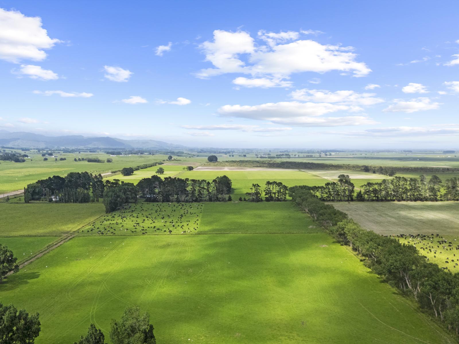 129-139 Tamatarau Road, Tokomaru