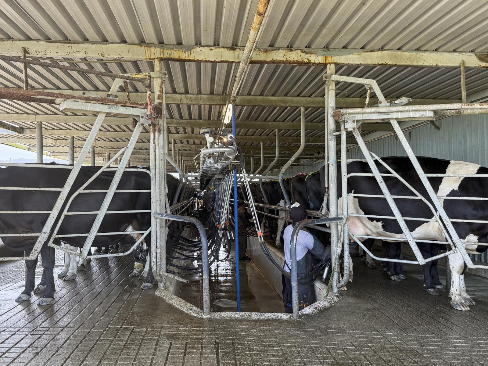 1372 Rangitane Road, Tiakitahuna 