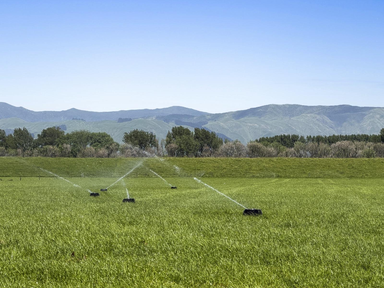 1372 Rangitane Road, Tiakitahuna 