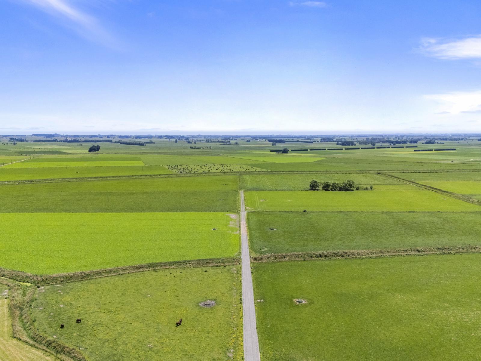 1685 State Highway 56, Tiakitahuna 