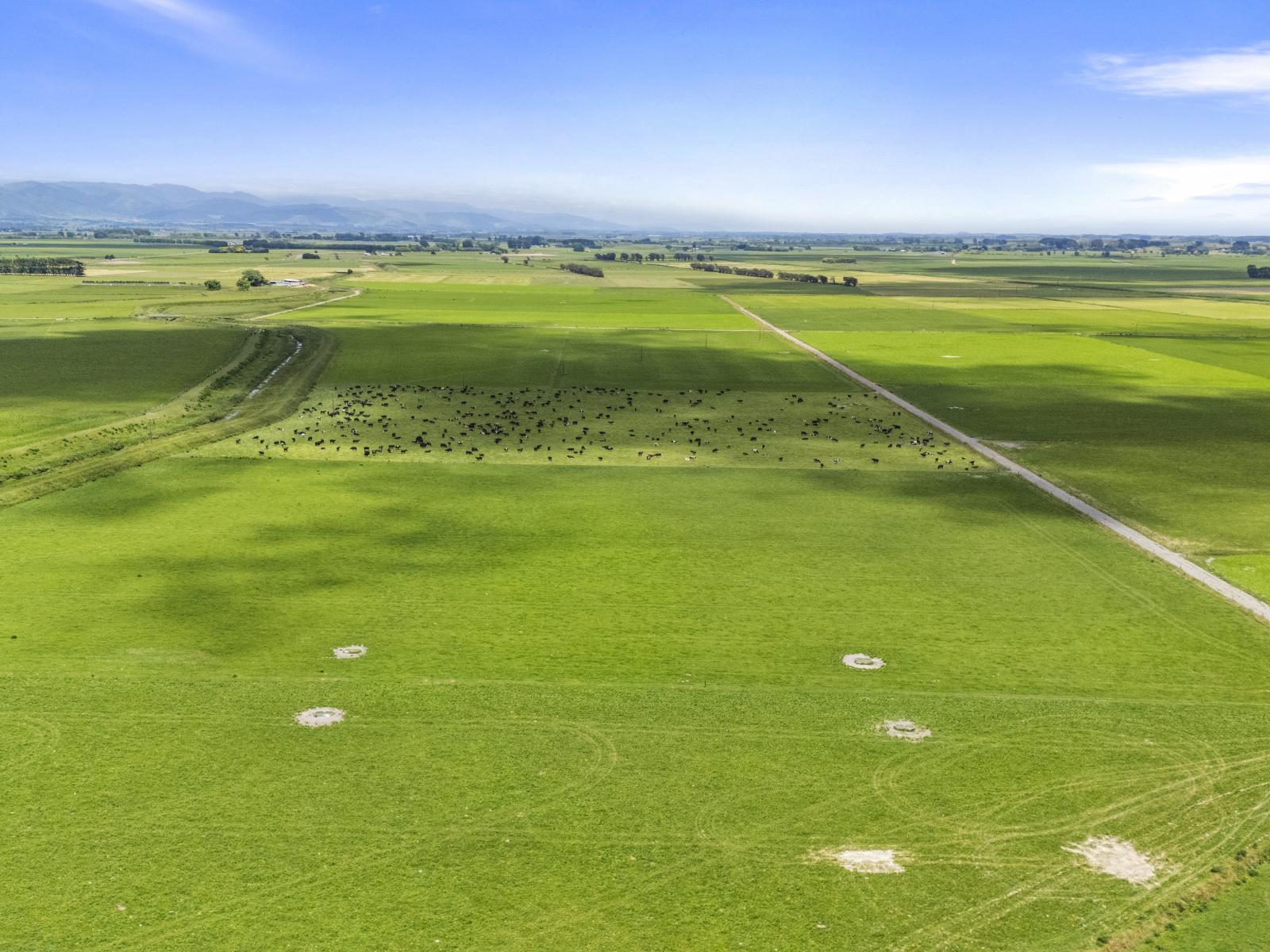 1685 State Highway 56, Tiakitahuna 