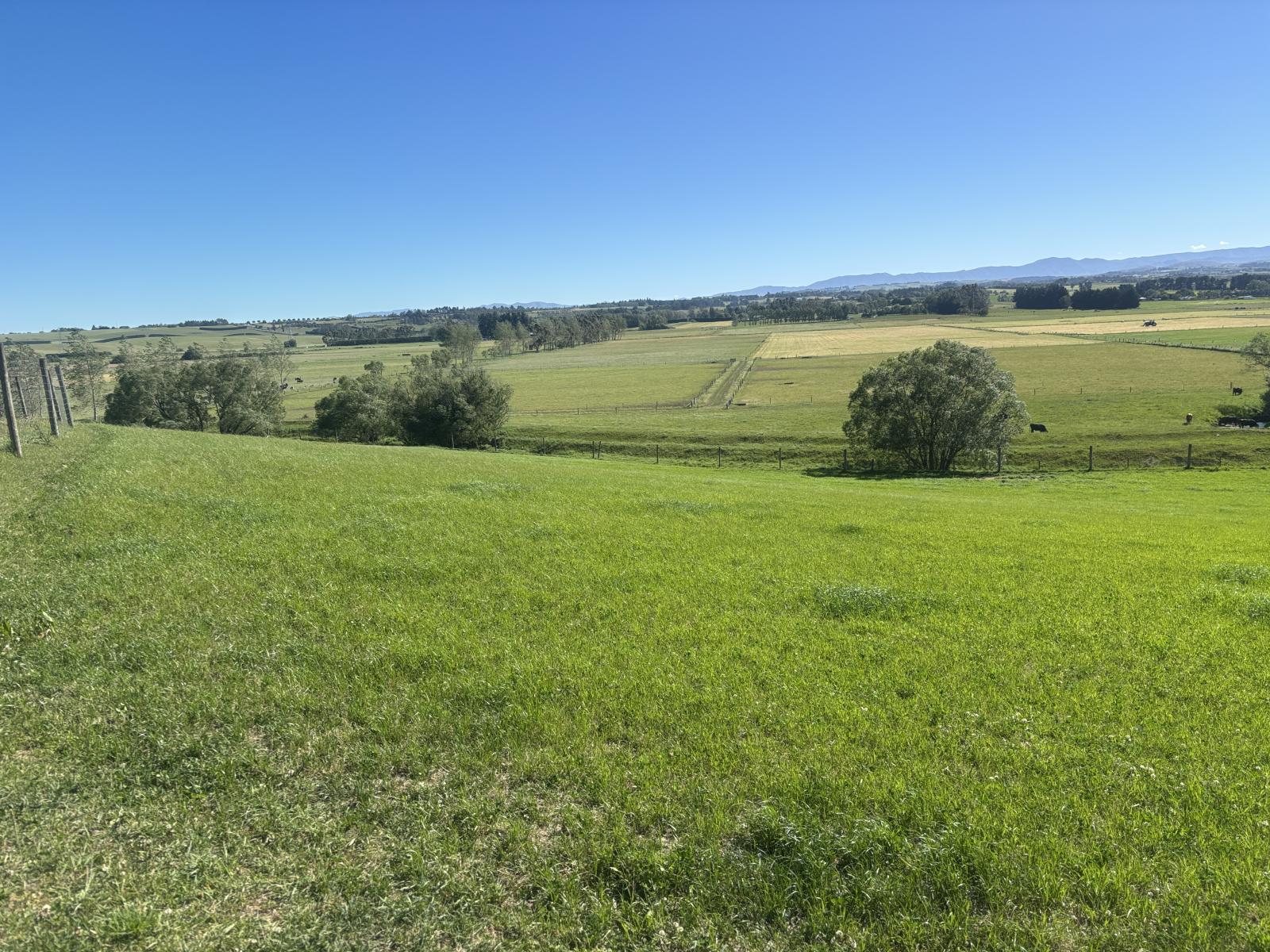 Timaru-Pleasant Point Highway, Timaru Surrounds