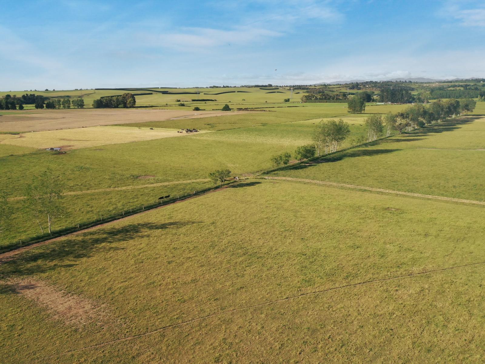 Timaru-Pleasant Point Highway, Timaru Surrounds