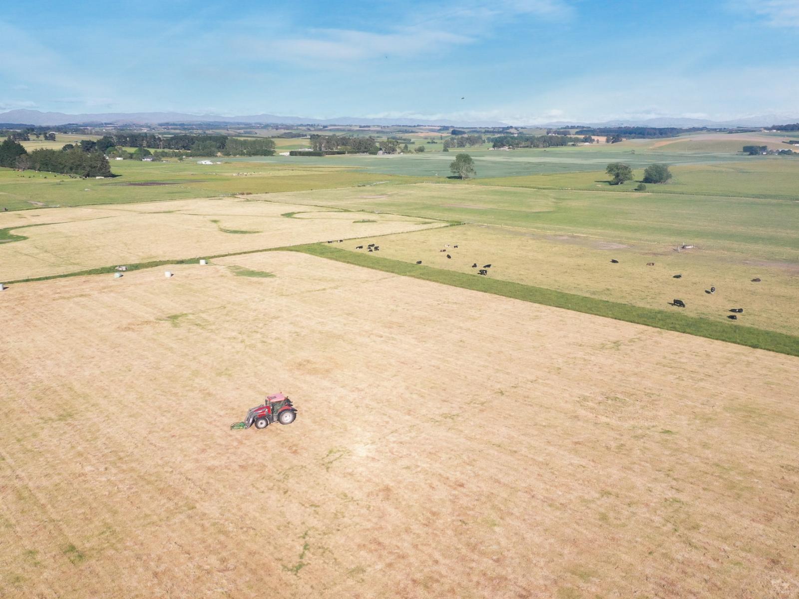 Timaru-Pleasant Point Highway, Timaru Surrounds