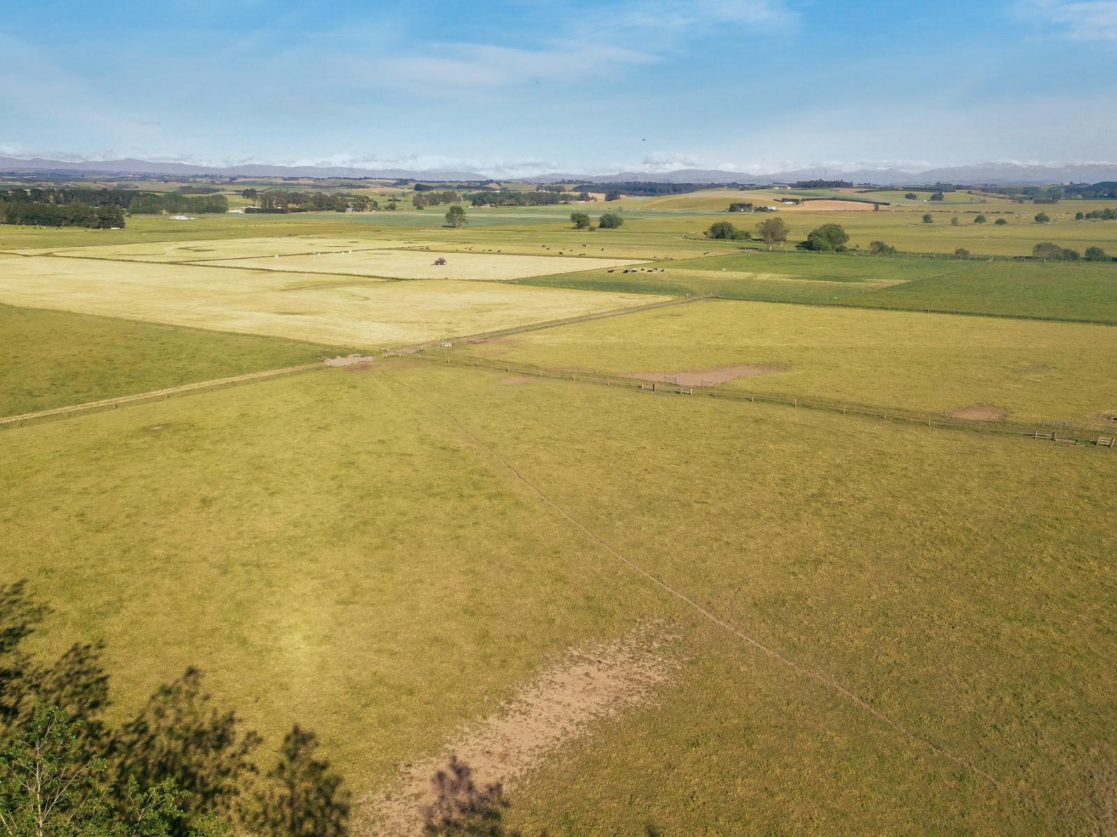 Timaru-Pleasant Point Highway, Timaru Surrounds