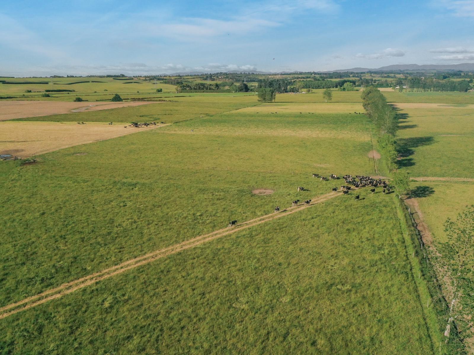 Timaru-Pleasant Point Highway, Timaru Surrounds