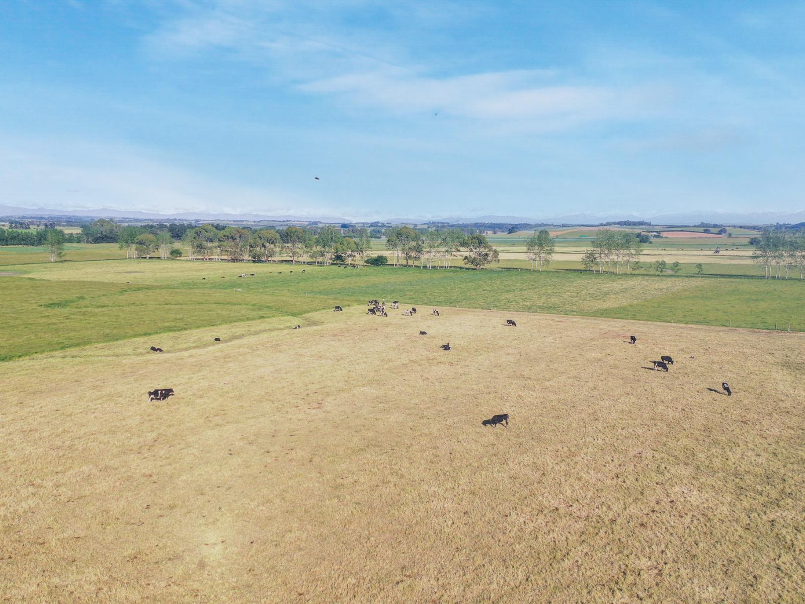 Timaru-Pleasant Point Highway, Timaru Surrounds