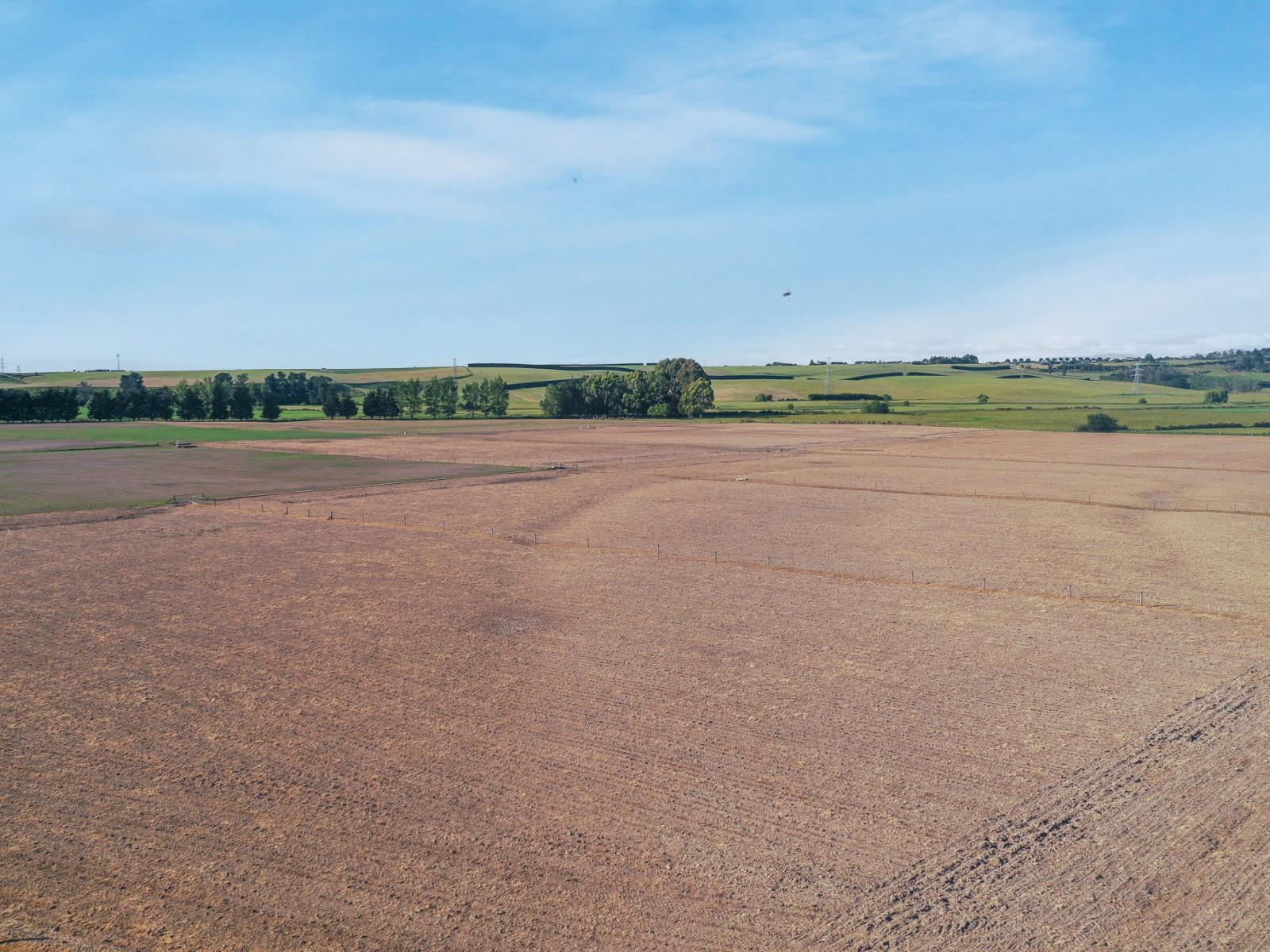 Timaru-Pleasant Point Highway, Timaru Surrounds
