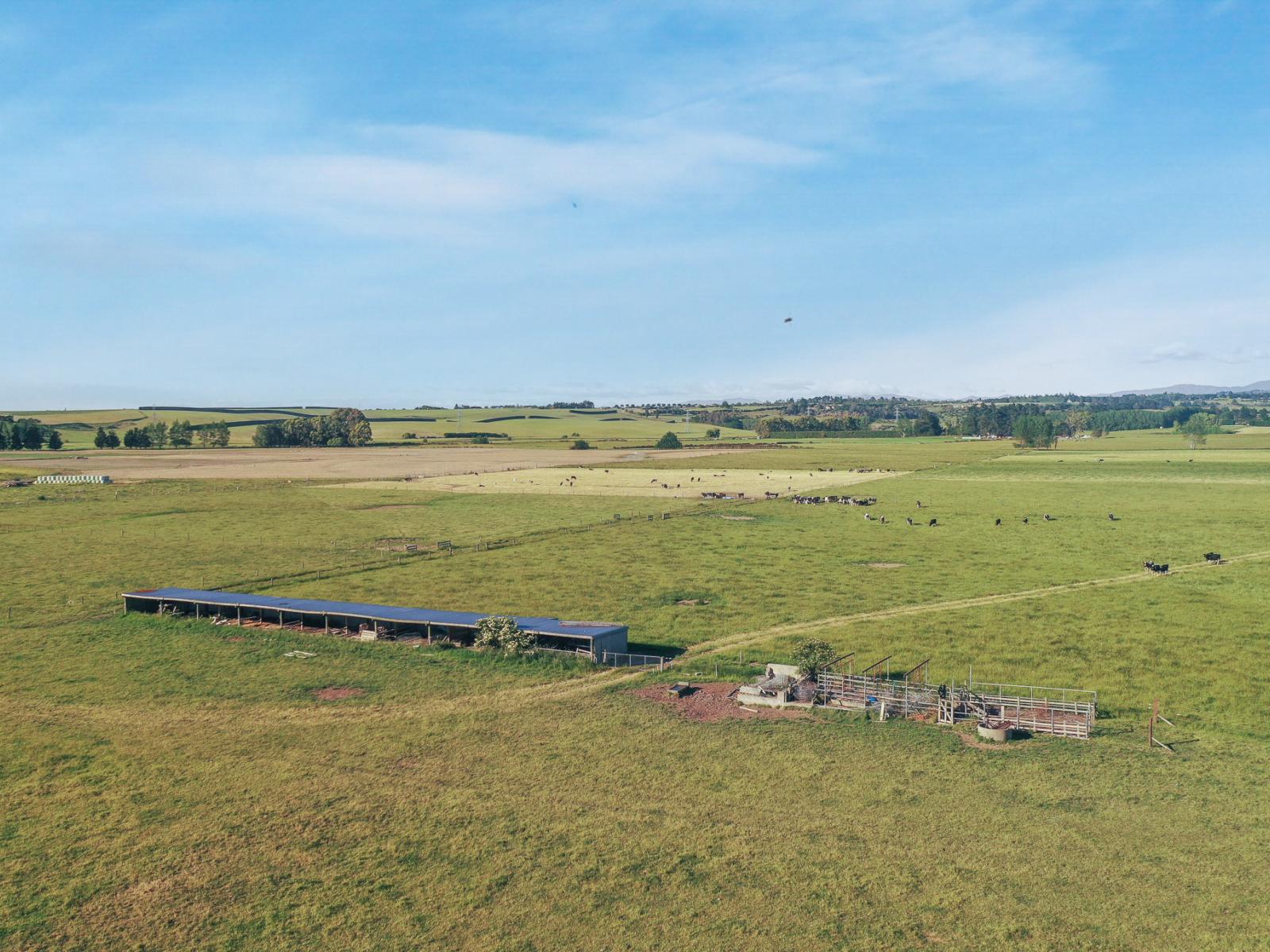 Timaru-Pleasant Point Highway, Timaru Surrounds