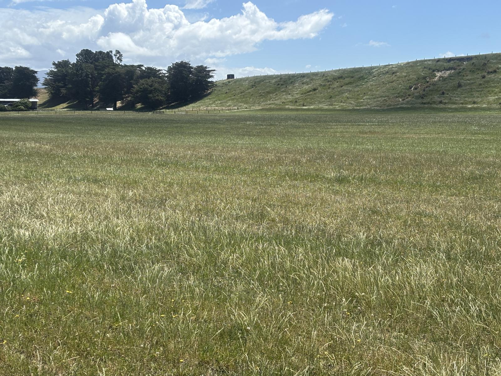 Lot 4 Hook School Road, Makikihi