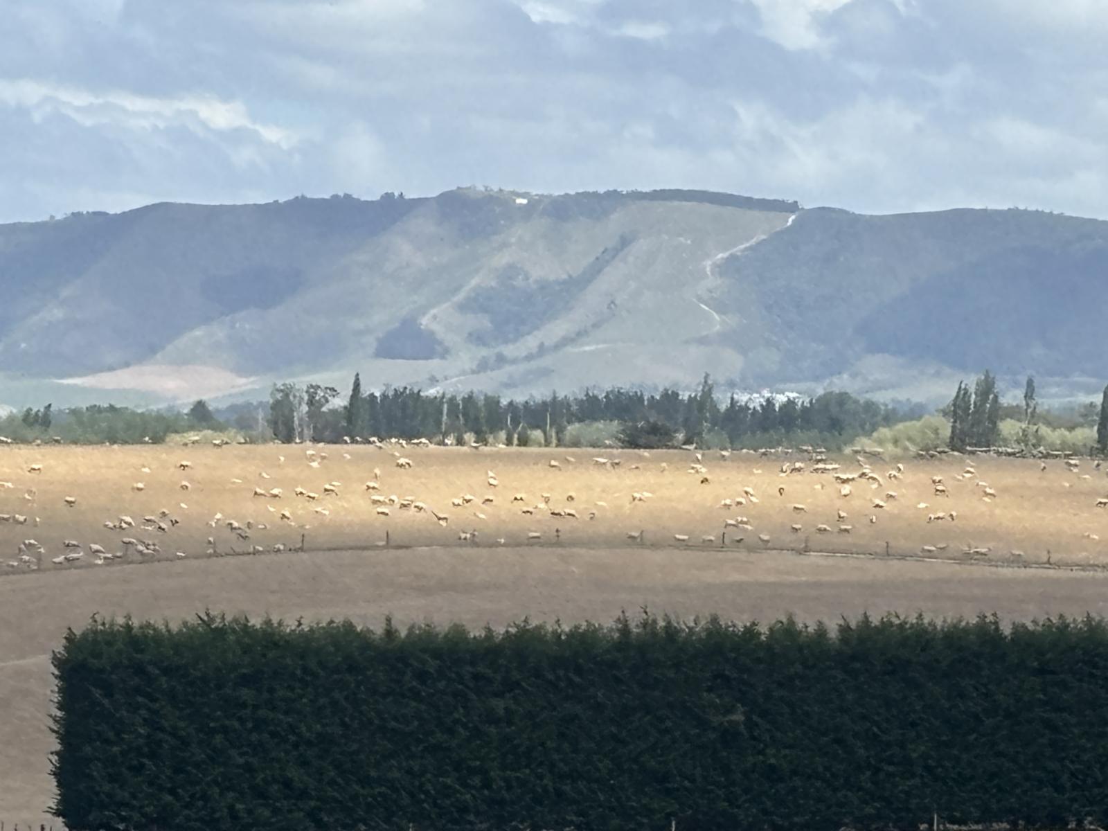 Lot 4 Hook School Road, Makikihi