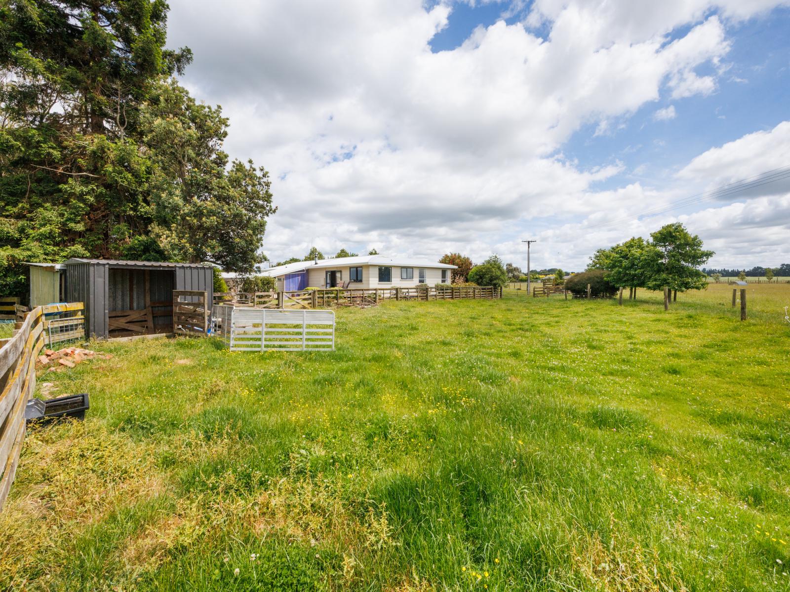 69 Reid Line East, Aorangi