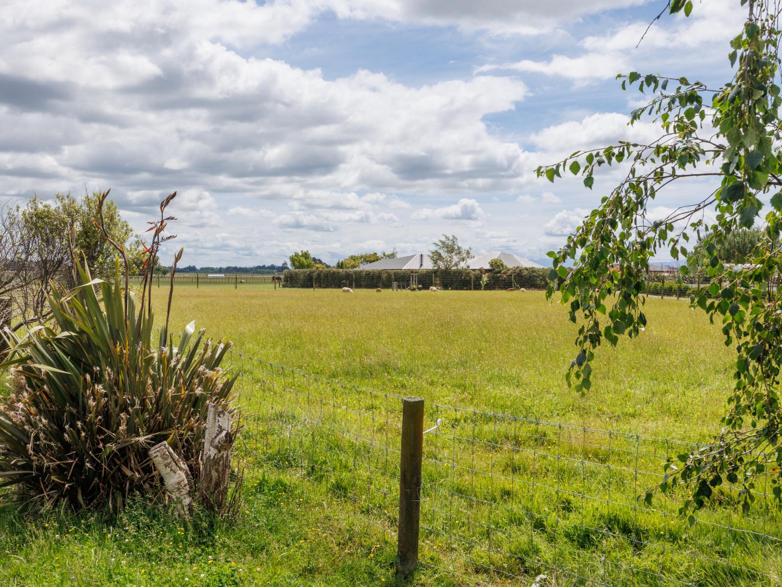 69 Reid Line East, Aorangi