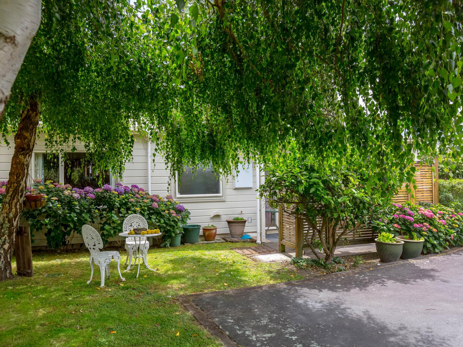 3 Orchard Road, Greytown