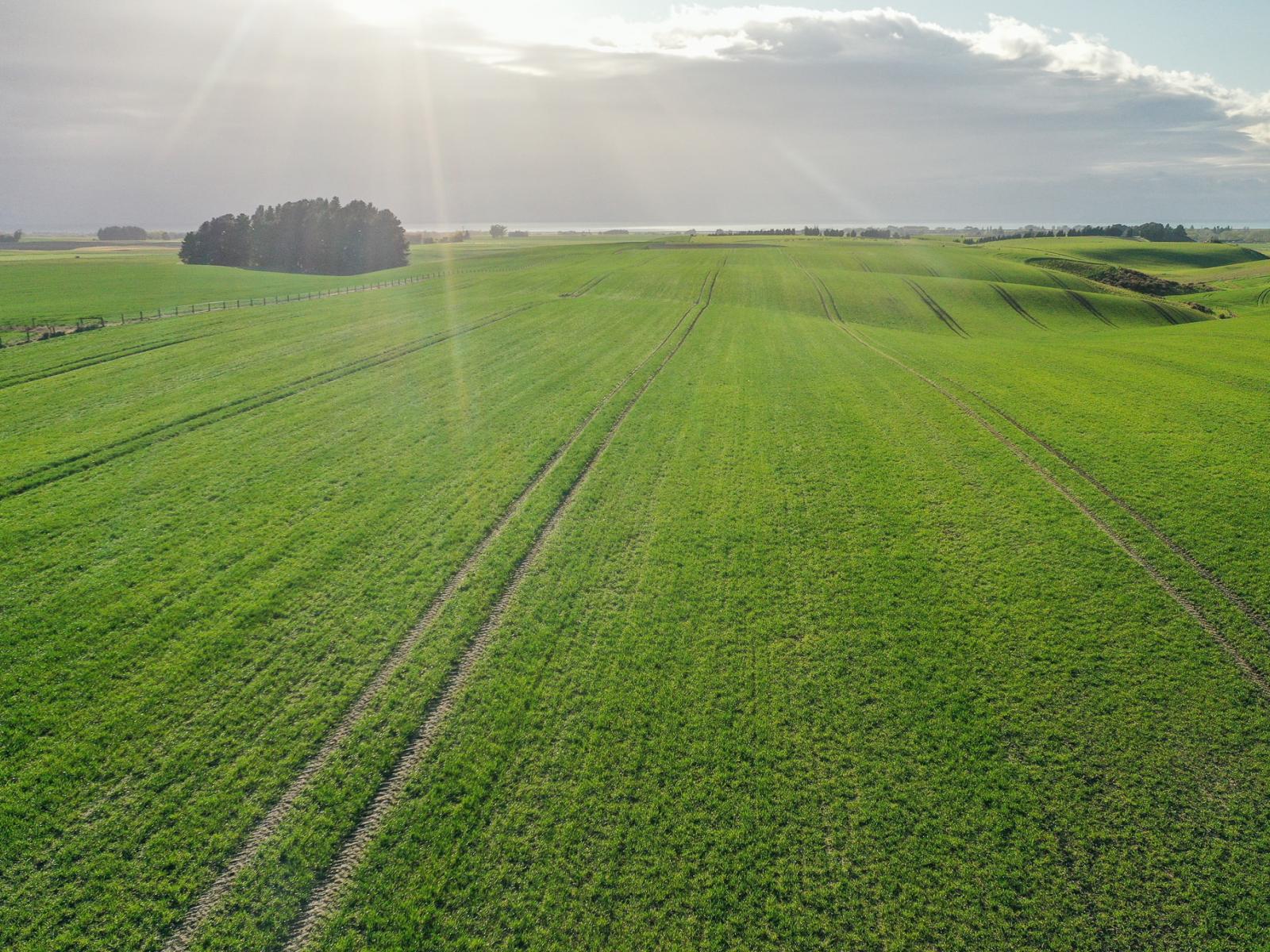 Lot 3 Hook School Road, Makikihi