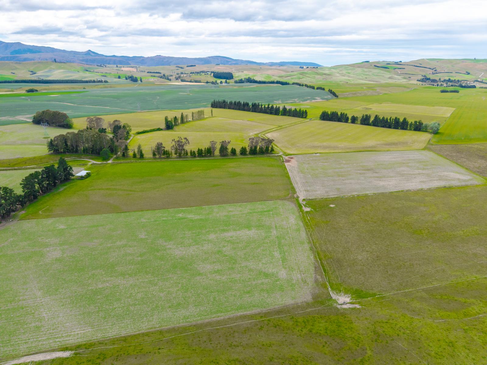 311 Hamilton Road, Fairlie