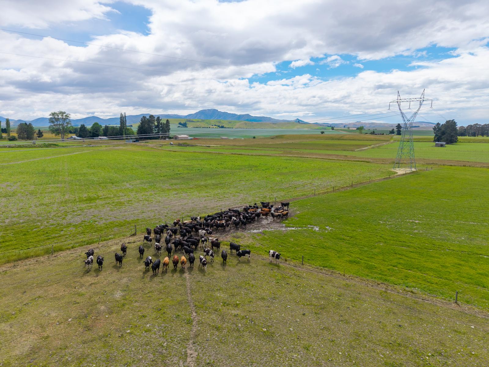 311 Hamilton Road, Fairlie