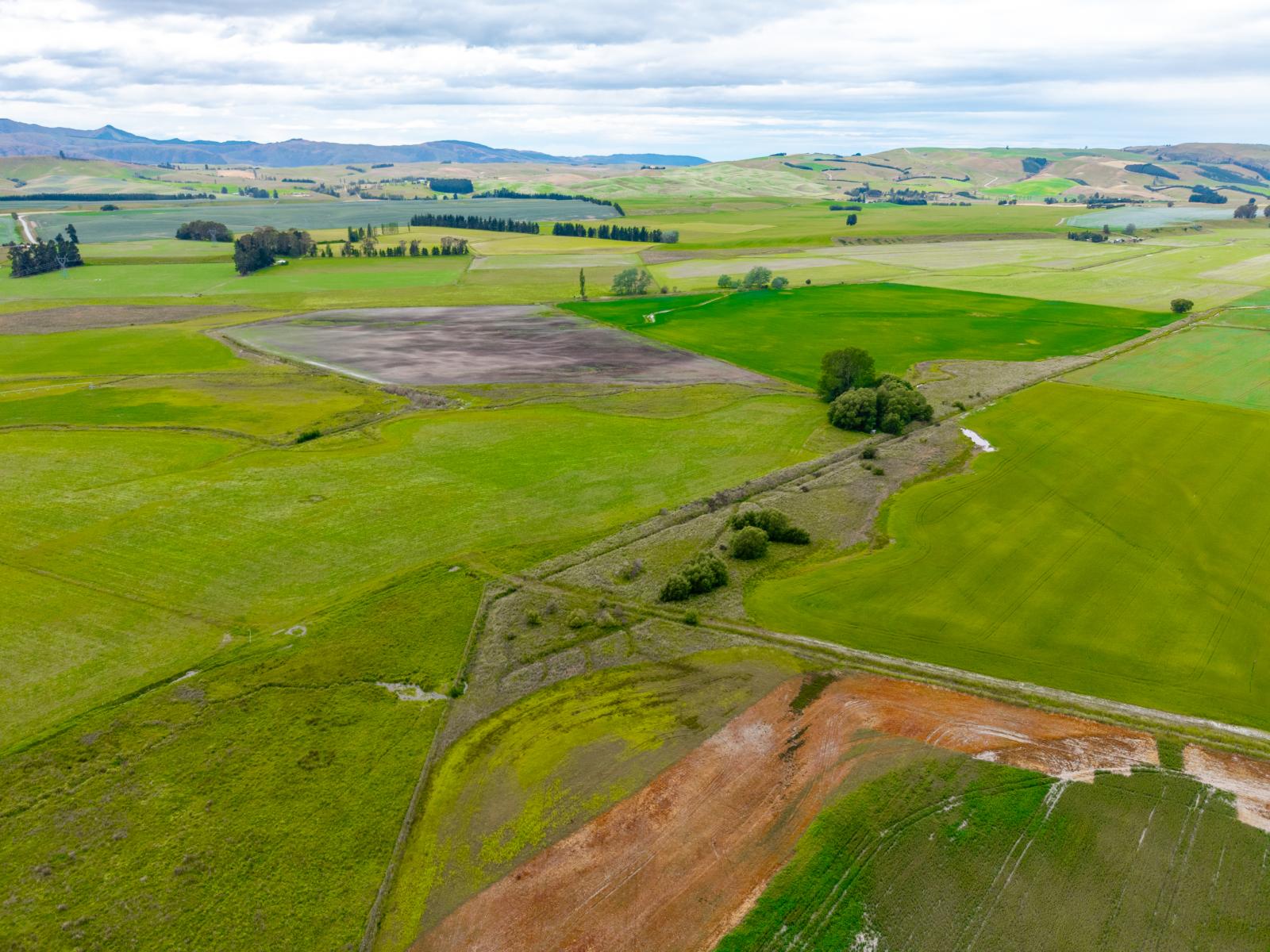 311 Hamilton Road, Fairlie