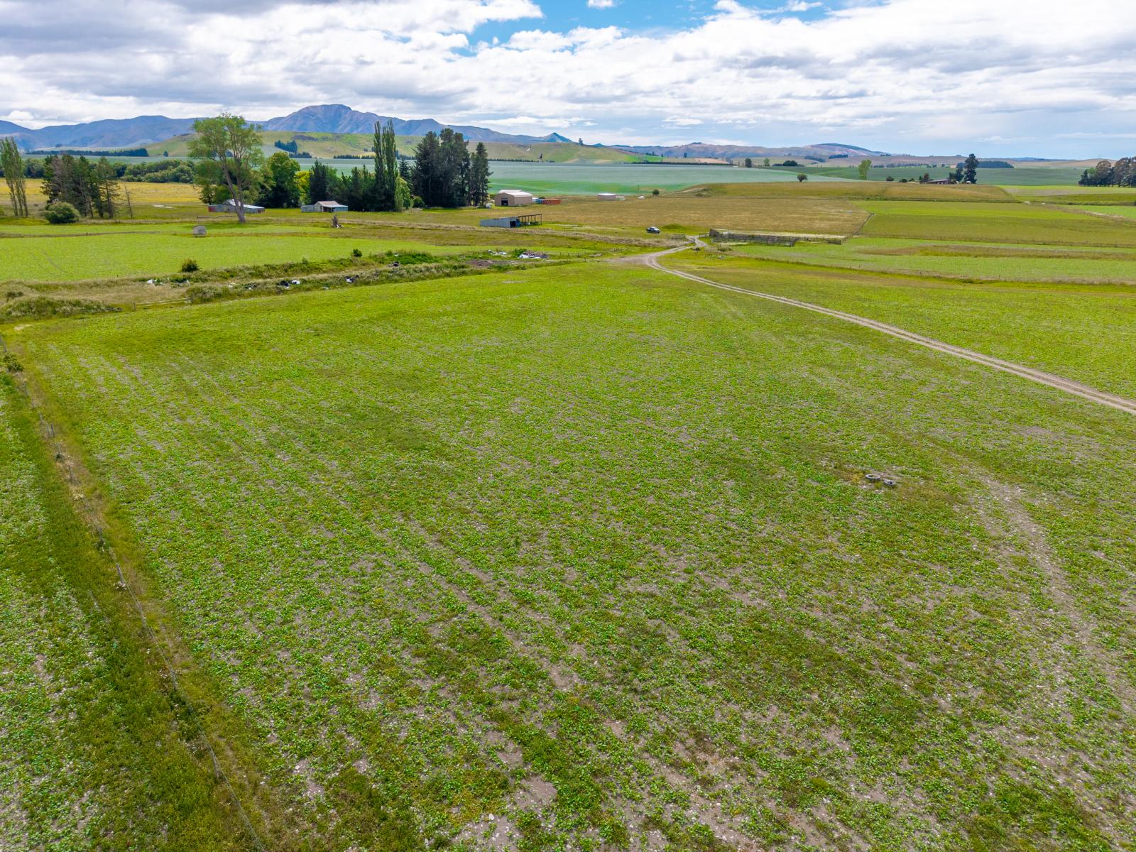 311 Hamilton Road, Fairlie