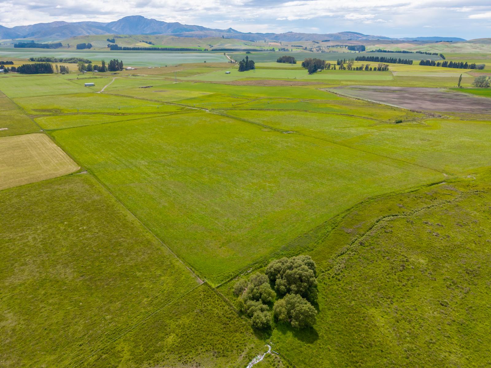 311 Hamilton Road, Fairlie