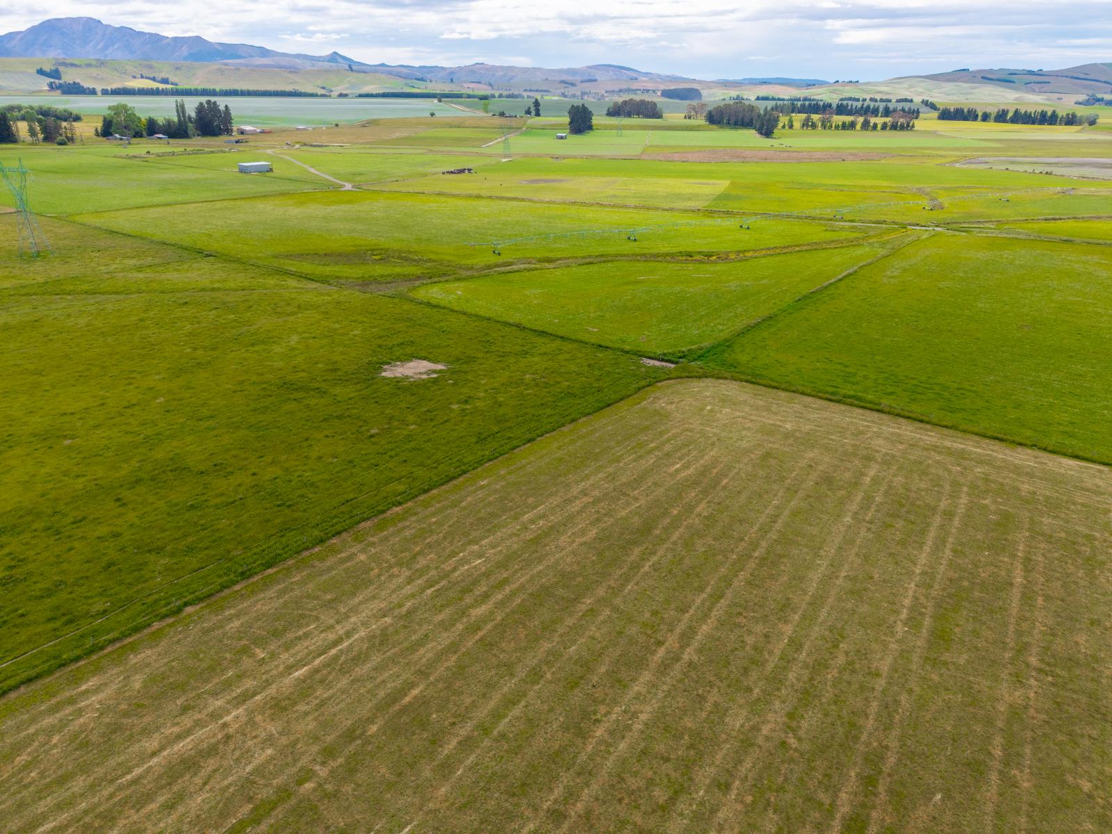 311 Hamilton Road, Fairlie