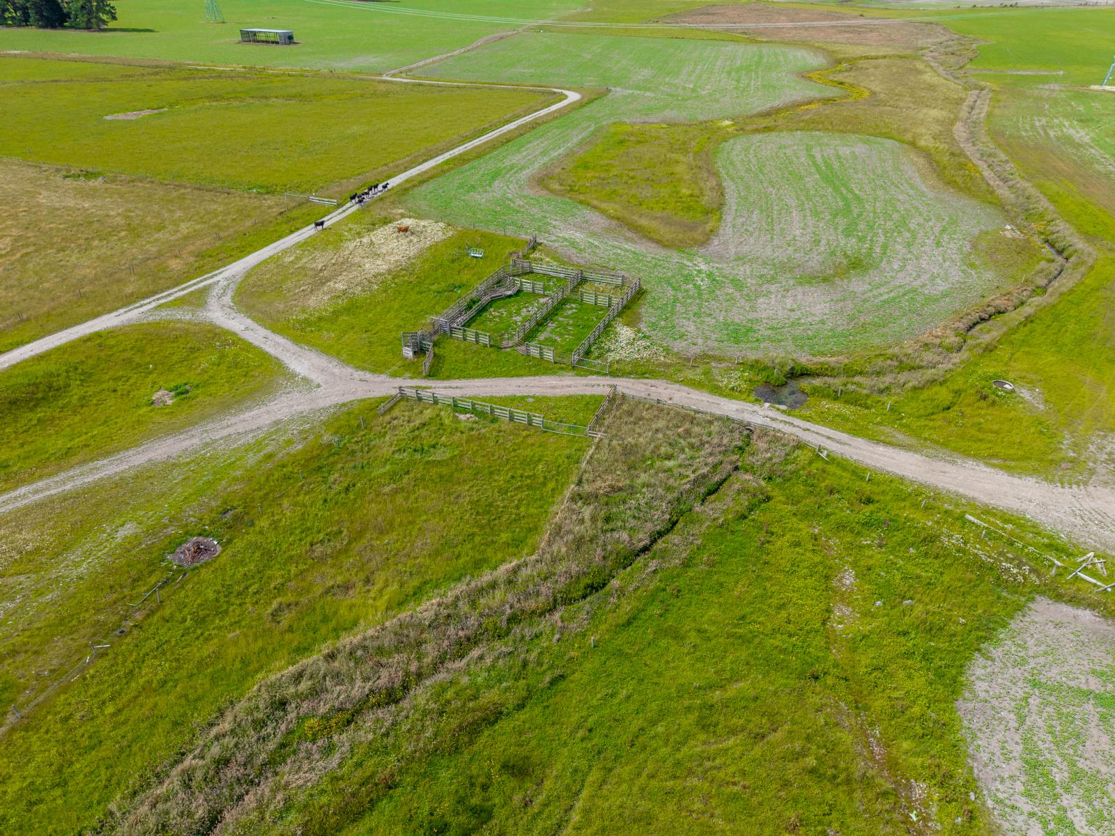 311 Hamilton Road, Fairlie