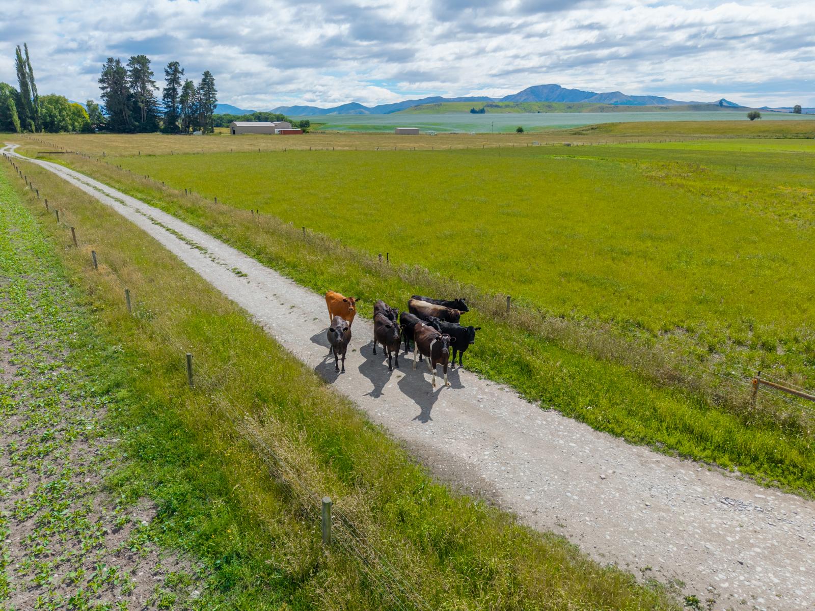 311 Hamilton Road, Fairlie