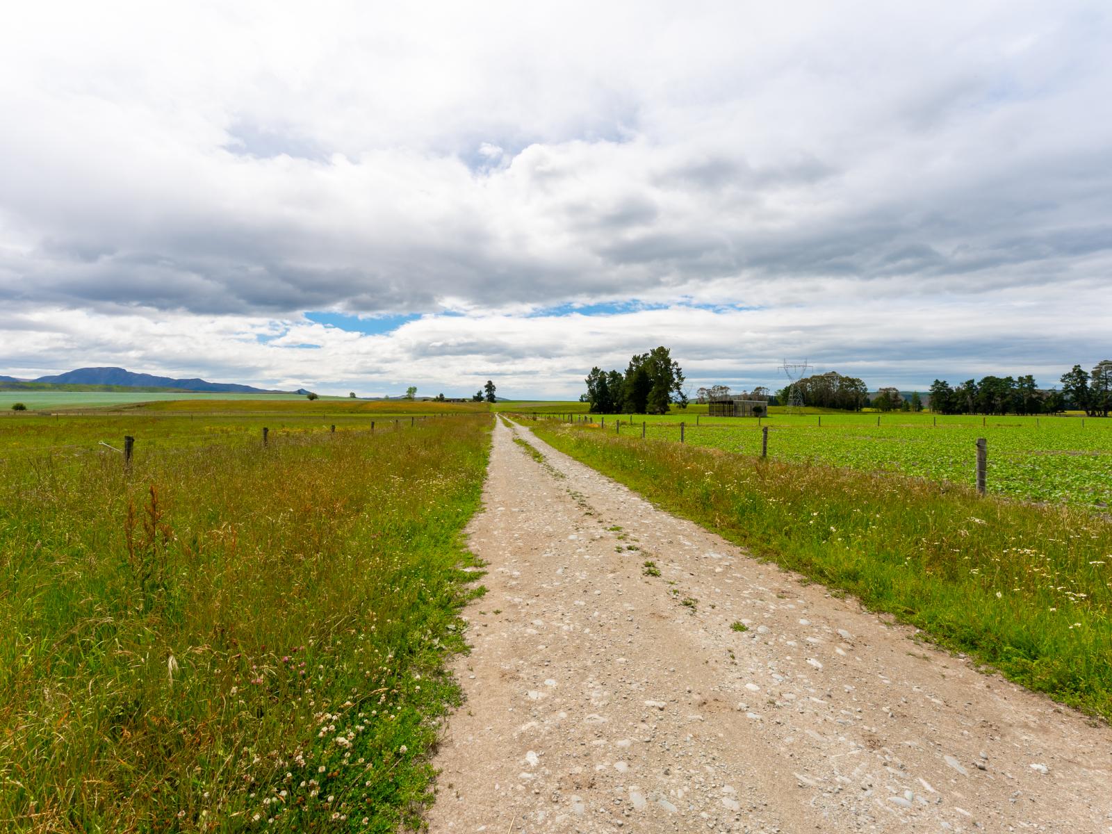 311 Hamilton Road, Fairlie