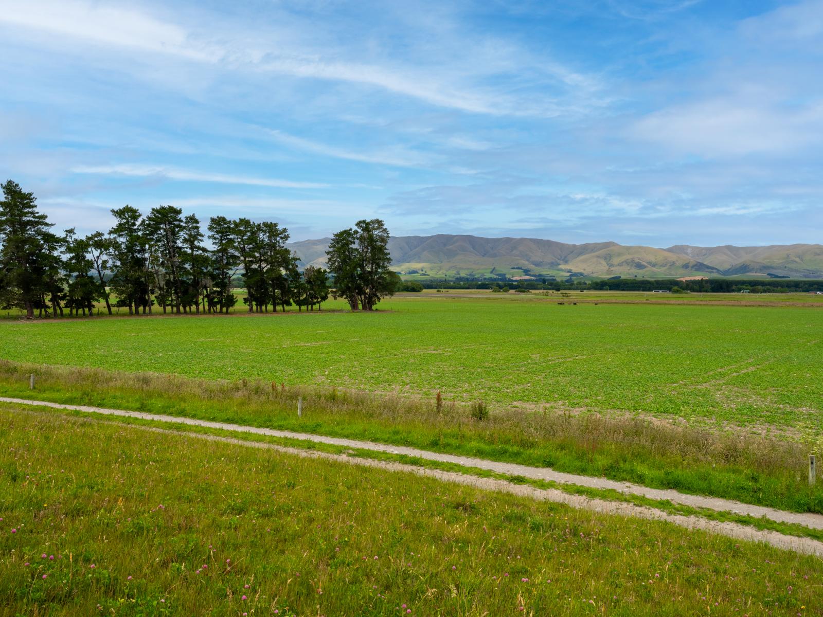 311 Hamilton Road, Fairlie