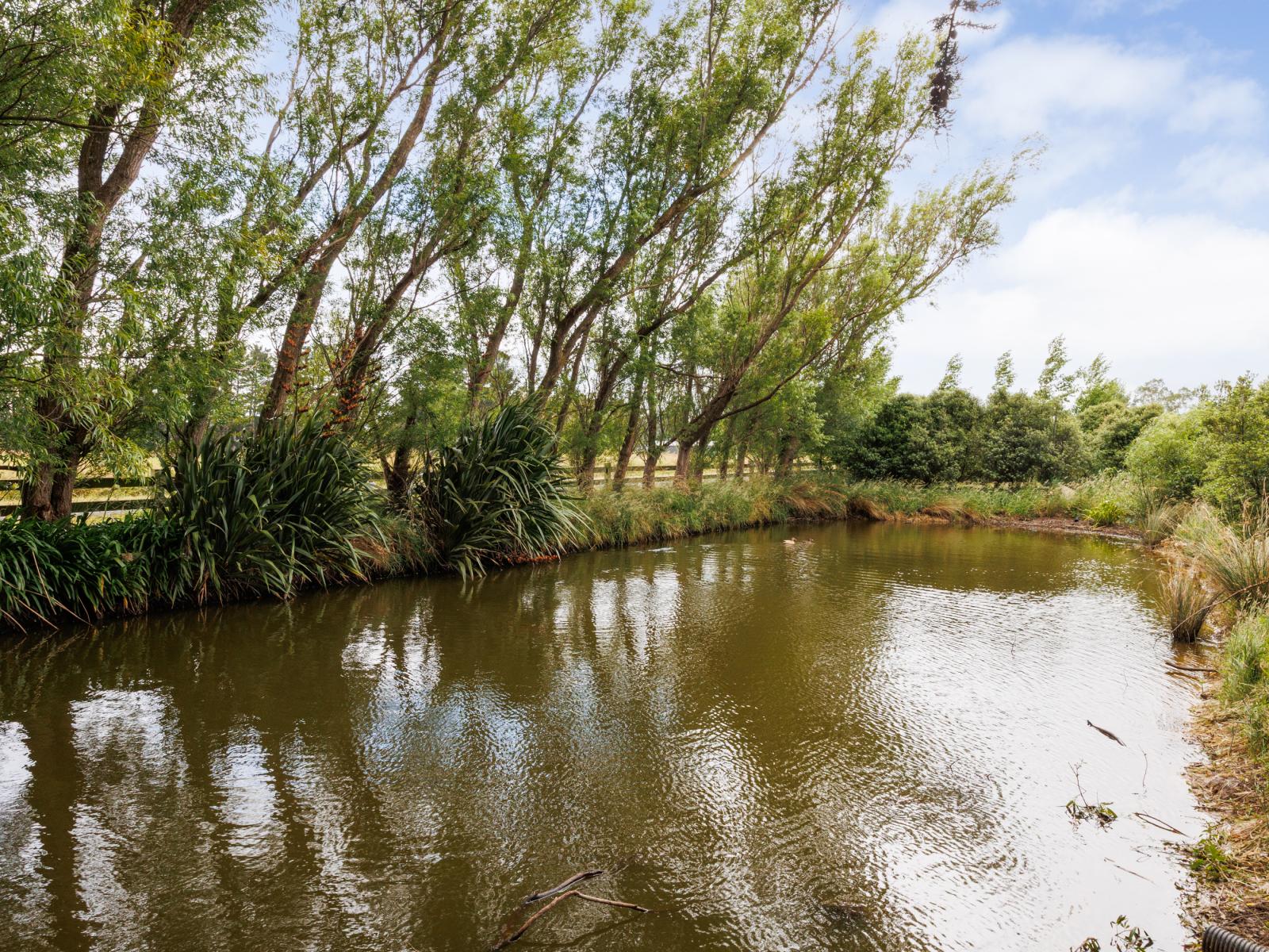 2 Ashgrove Lane, Ashhurst