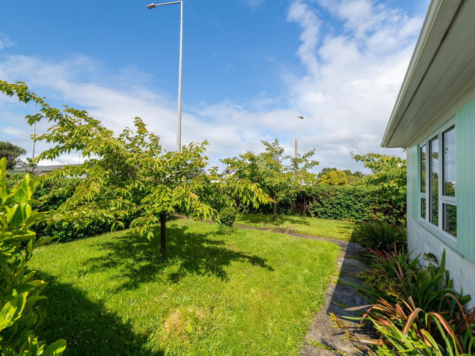 378 Tweed Street, Georgetown