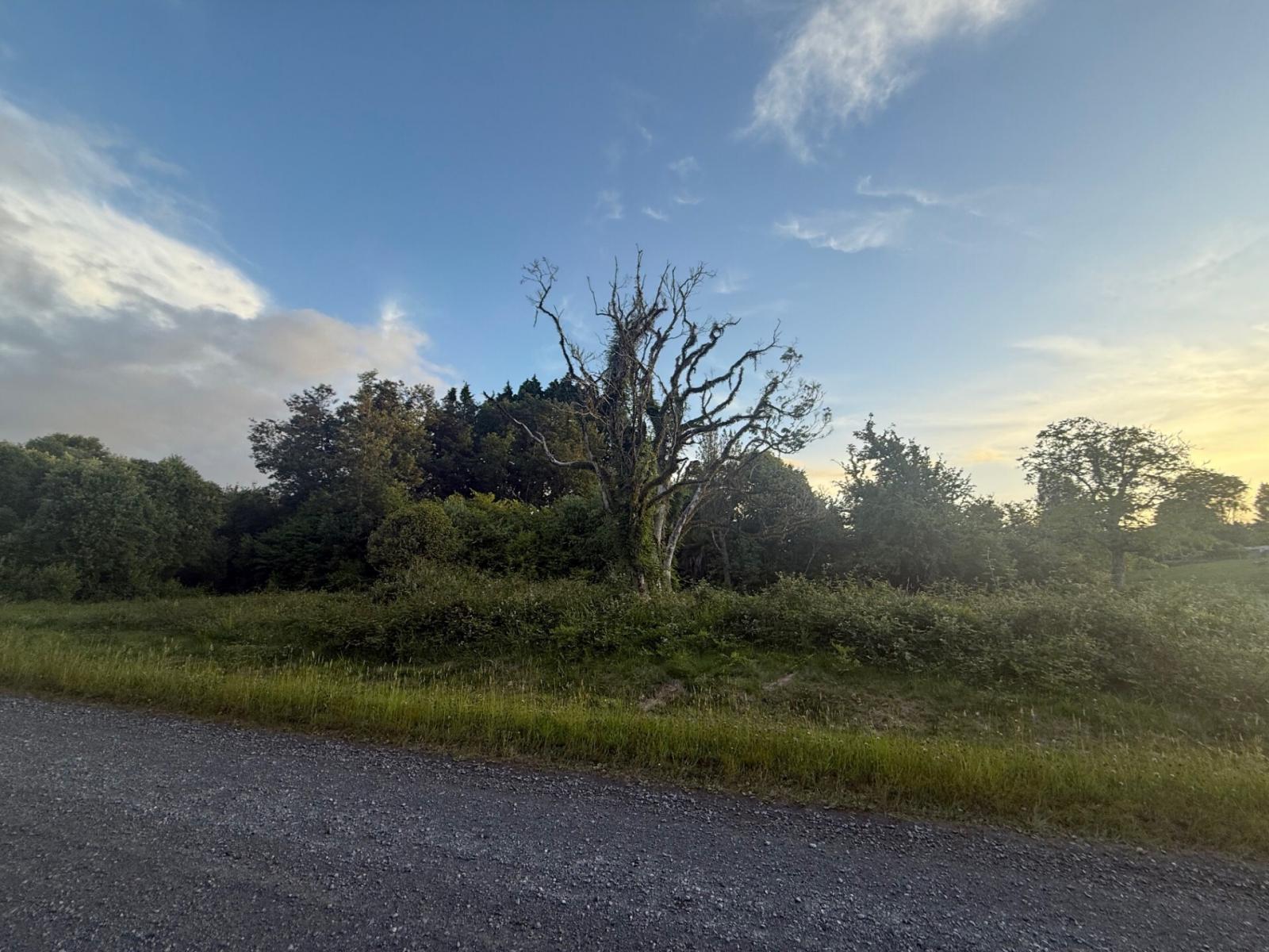 5 Onematua Road, Owhango