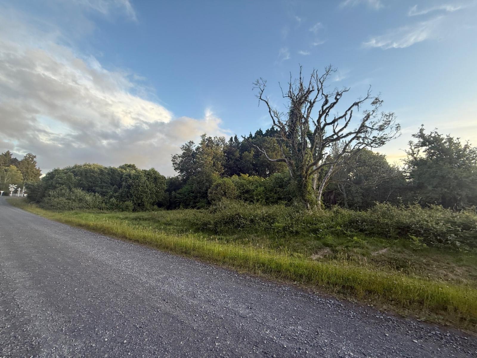 5 Onematua Road, Owhango