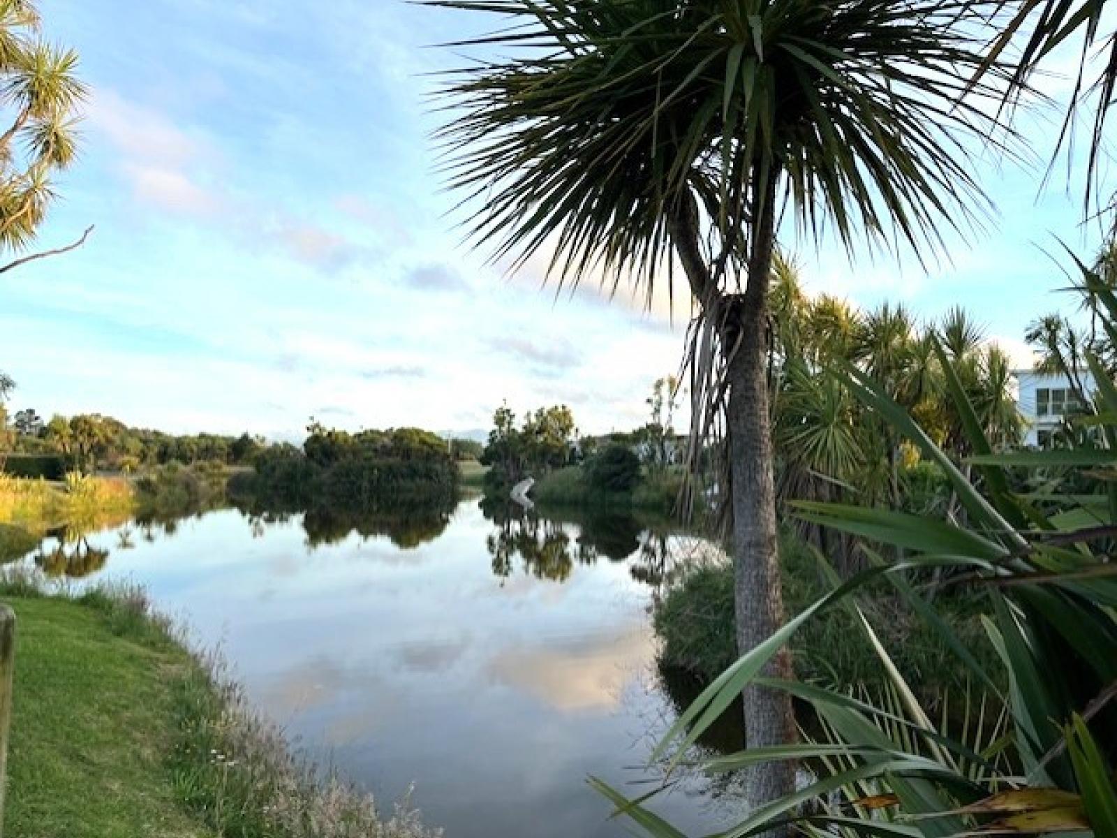 36B Palmer Road, Foxton Beach